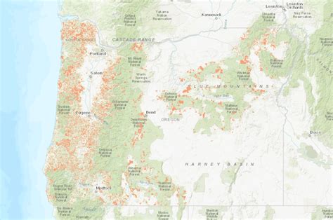 ferns oregon department of forestry|oregon forest activity reporting.